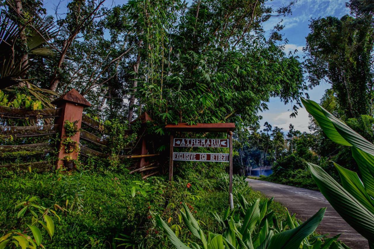 Hotel Atremaru Jungle Retreat