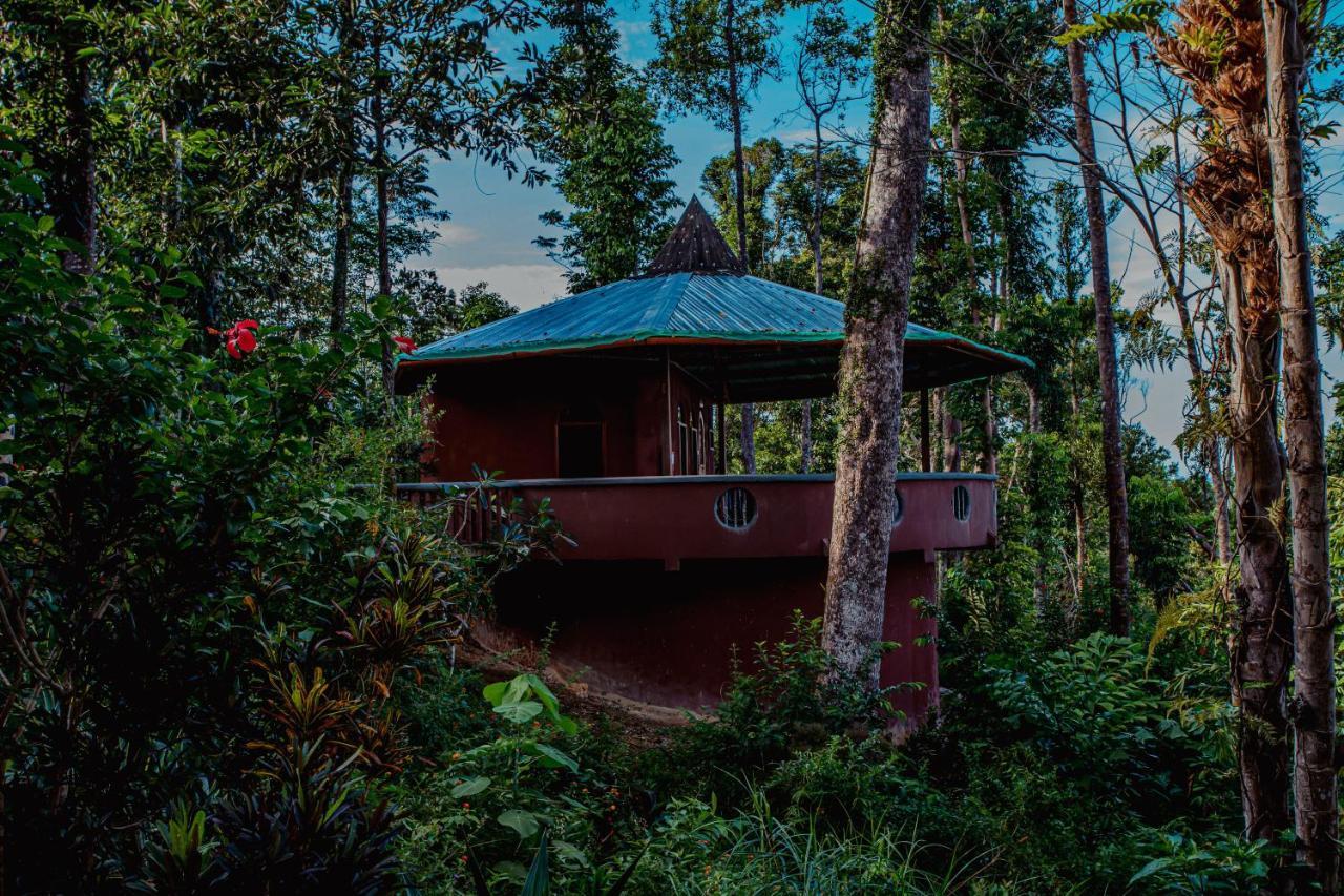 Hotel Atremaru Jungle Retreat